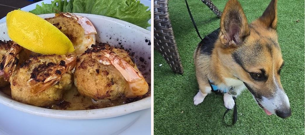 Coasters Pub & Biergarten. Gallery Image 6